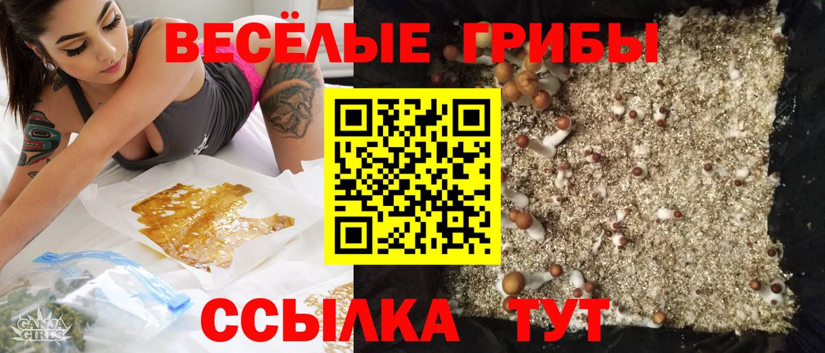 Майский  Галлюциногенные грибы мухоморы  Вход с VPN  Галлюциногенные грибы прущие грибы 
